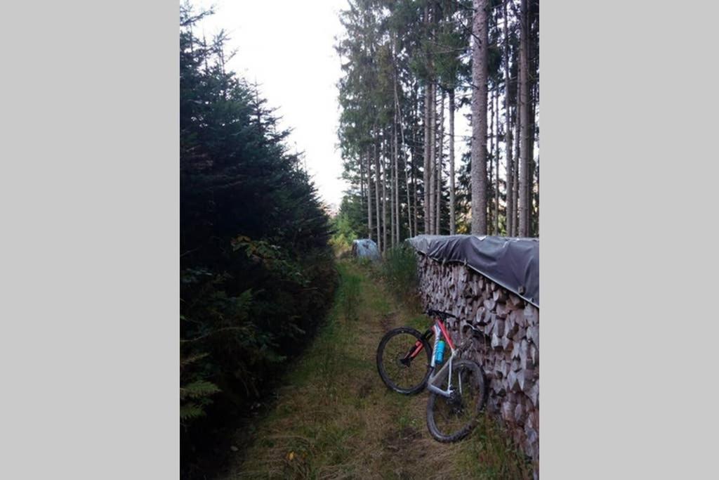 Maison Independ. 6 Personnes A 10 Mn De Gerardmer Granges-sur-Vologne المظهر الخارجي الصورة